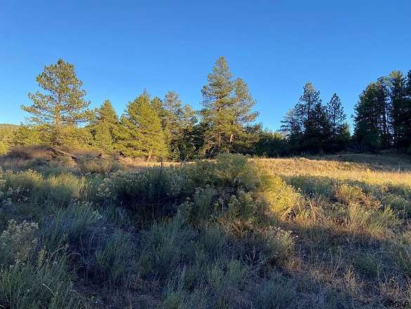 2.6 Acres of Residential Land for Sale in Cotopaxi, Colorado