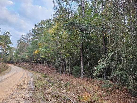 63 Acres of Recreational Land for Sale in Jack, Alabama