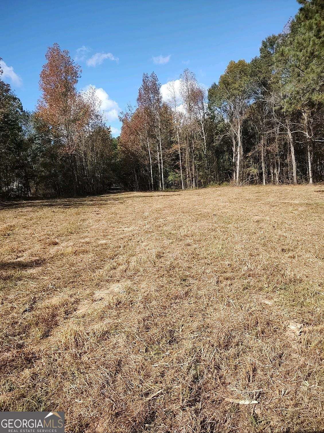 5 Acres of Residential Land with Home for Sale in Concord, Georgia