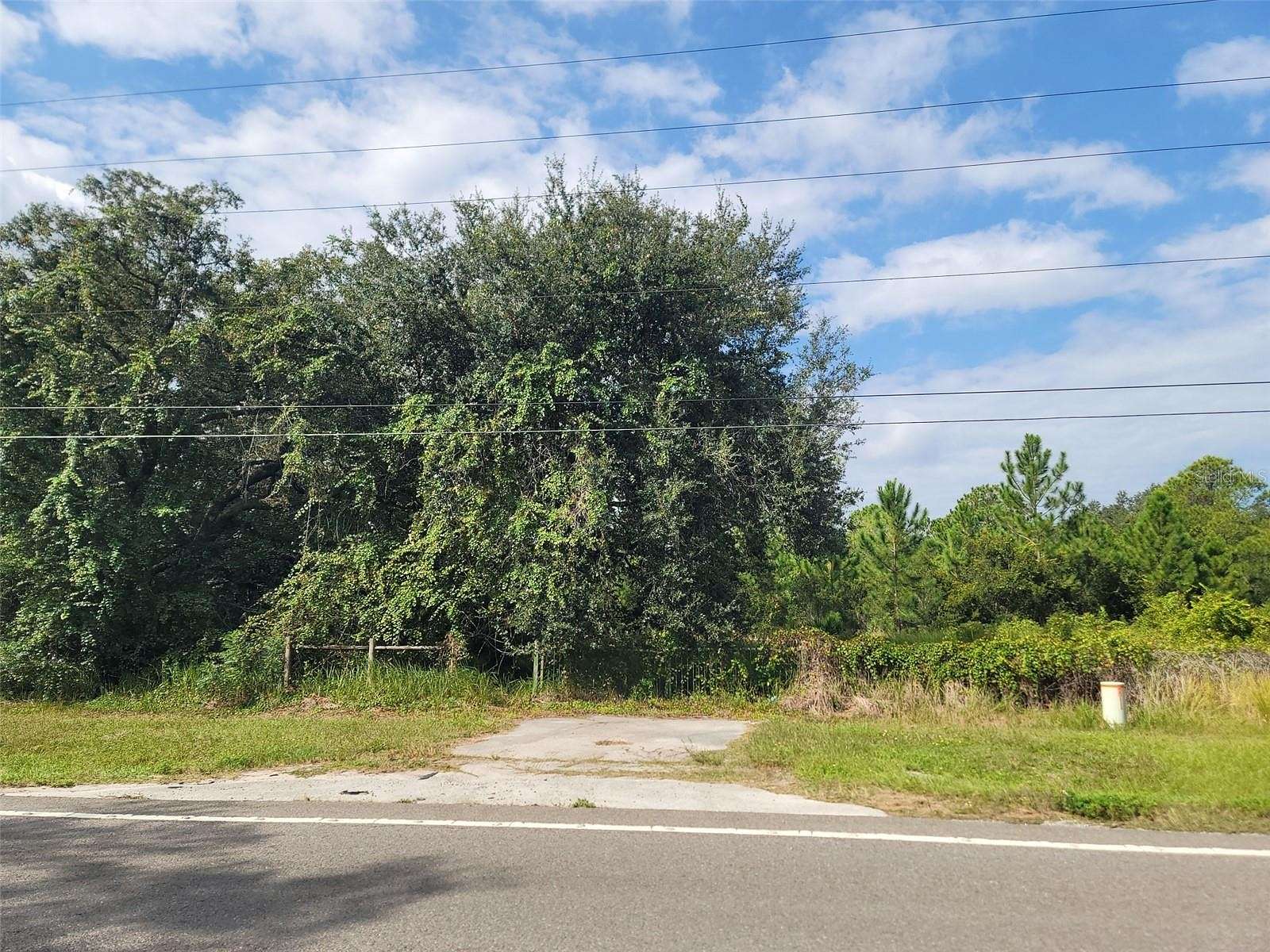 5.3 Acres of Residential Land for Sale in Clermont, Florida
