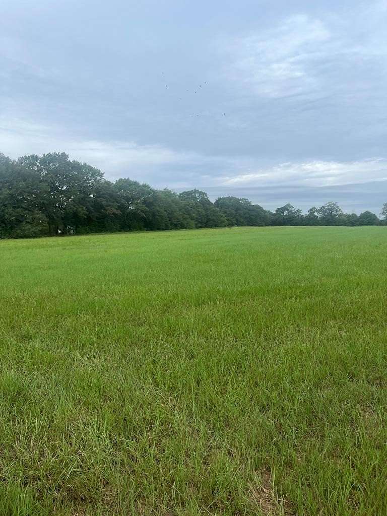 100 Acres of Land for Sale in Clayton, Alabama