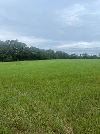 100 Acres of Land for Sale in Clayton, Alabama