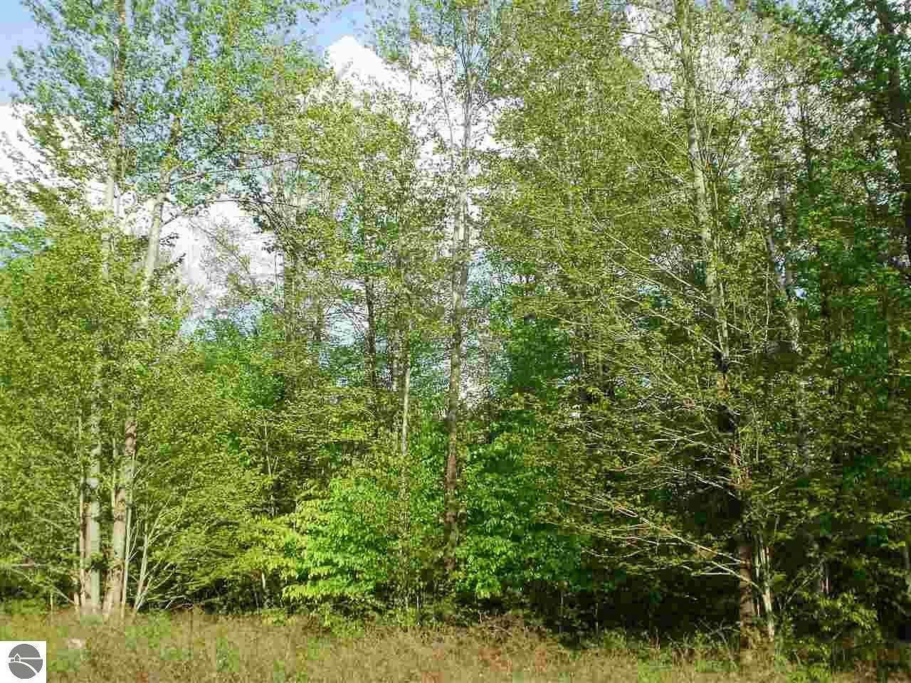 1.2 Acres of Residential Land for Sale in Cadillac, Michigan