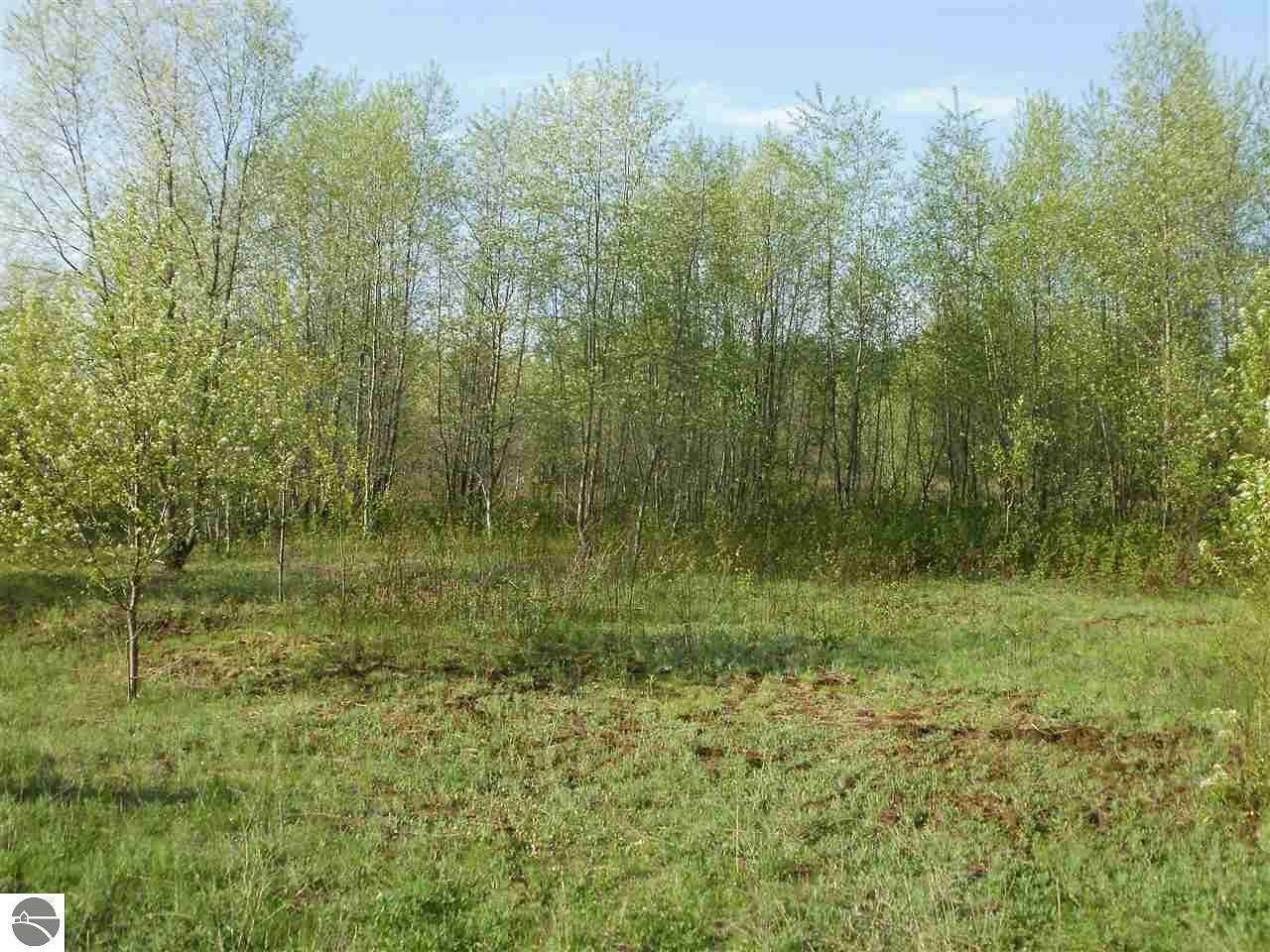 1 Acre of Residential Land for Sale in Cadillac, Michigan