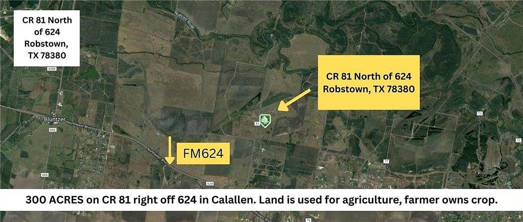 300 Acres of Agricultural Land for Sale in Robstown, Texas