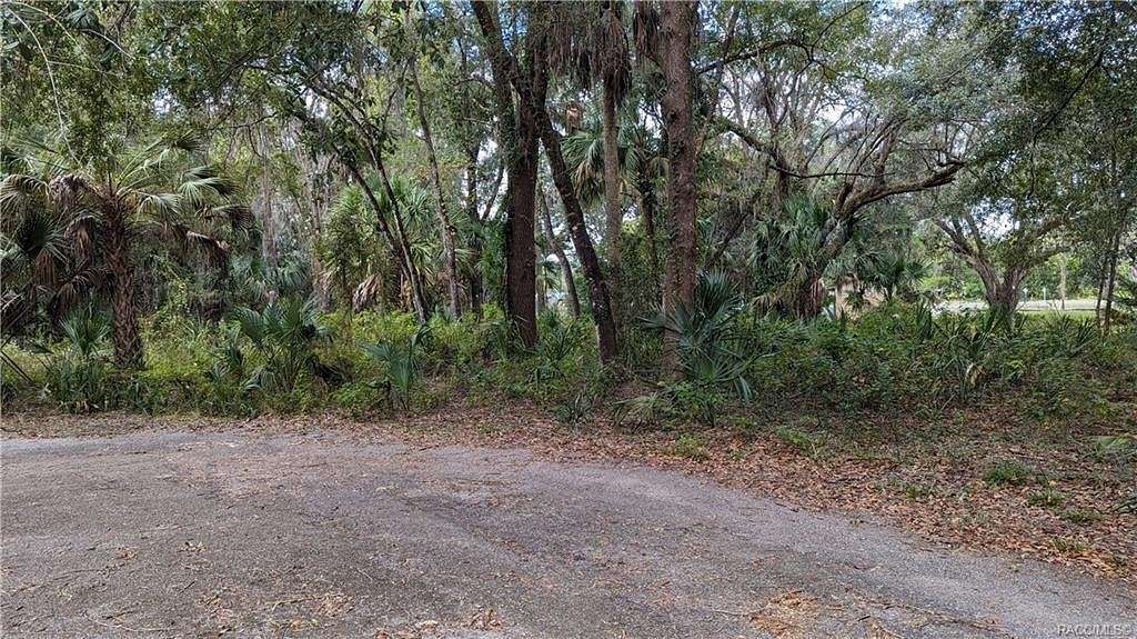0.79 Acres of Land for Sale in Crystal River, Florida