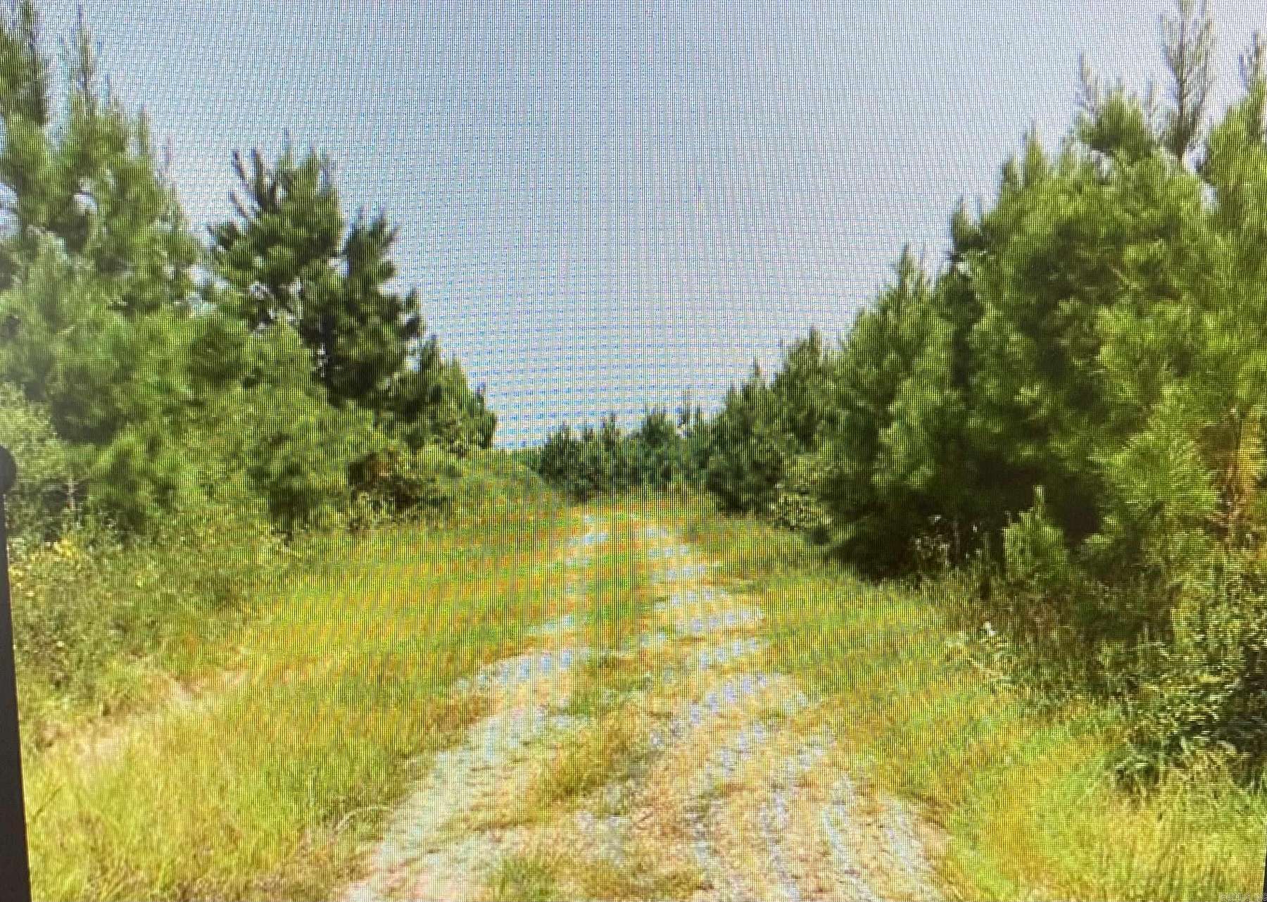 79.3 Acres of Land for Sale in Curtis, Arkansas