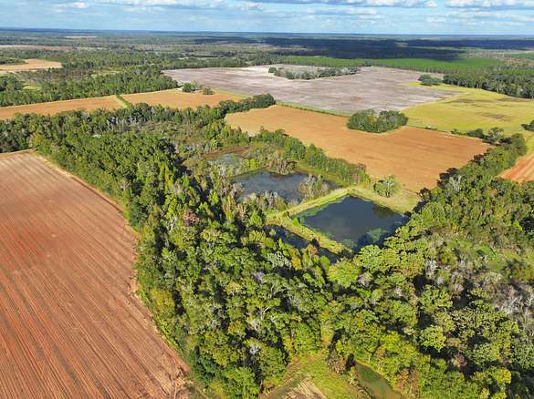 38.3 Acres of Land for Sale in Graceville, Florida