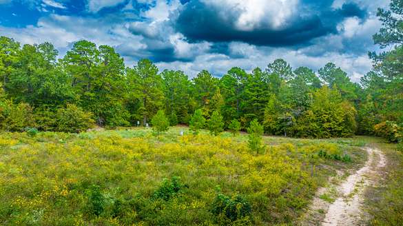 86.4 Acres of Recreational Land for Sale in Jacksonville, Texas