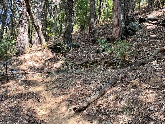 0.14 Acres of Residential Land for Sale in Dunsmuir, California