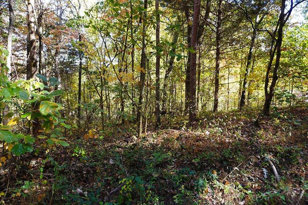 0.5 Acres of Residential Land for Sale in Parrottsville, Tennessee