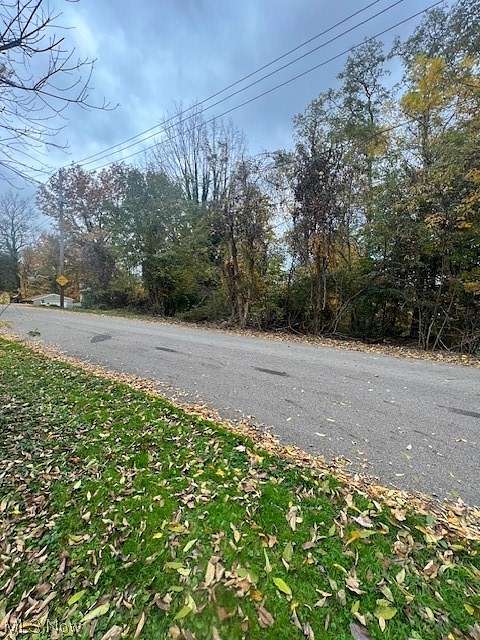 0.34 Acres of Residential Land for Sale in Akron, Ohio