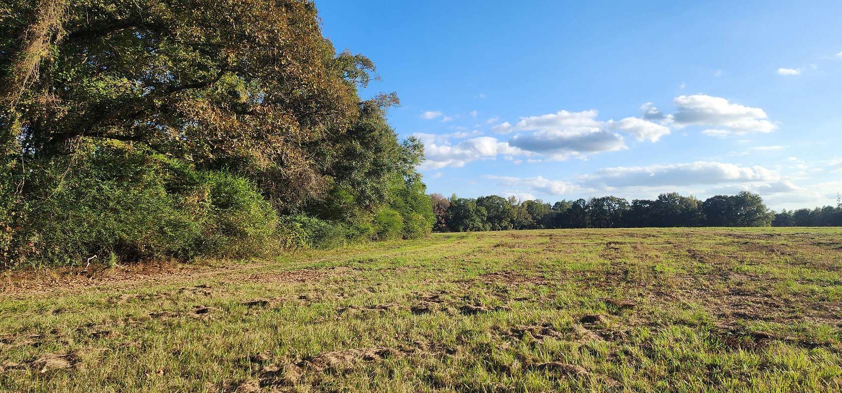 25 Acres of Land for Sale in Sumrall, Mississippi