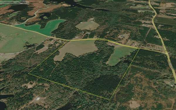 100 Acres of Land for Sale in Sumrall, Mississippi