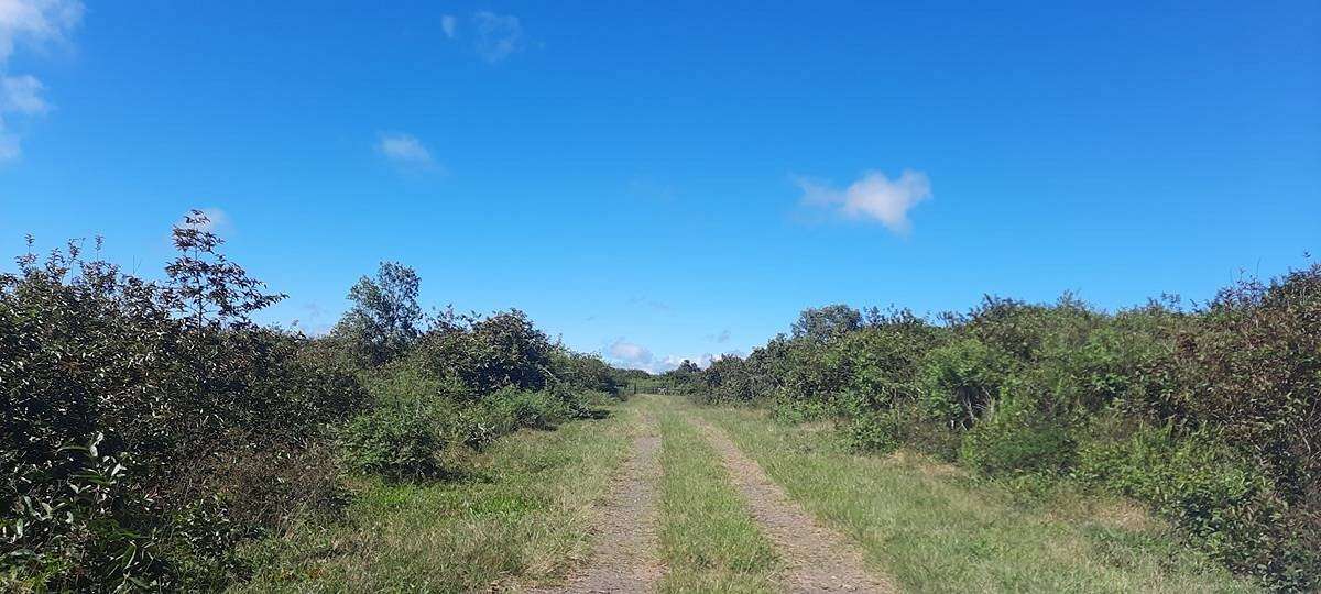 98.2 Acres of Agricultural Land with Home for Sale in Kealakekua, Hawaii