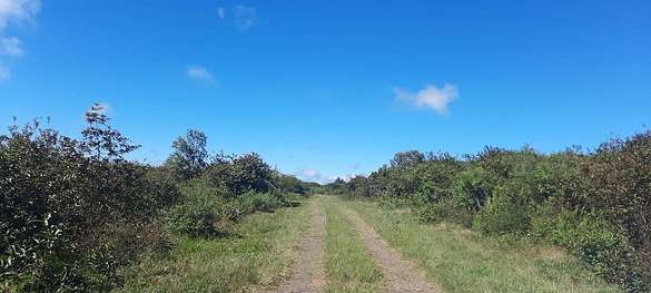 98.2 Acres of Agricultural Land with Home for Sale in Kealakekua, Hawaii