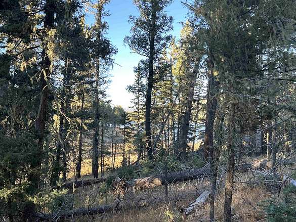 0.66 Acres of Residential Land for Sale in Angel Fire, New Mexico