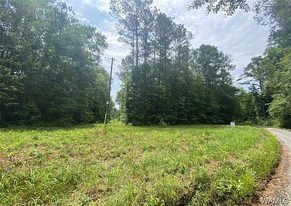 Residential Land for Sale in Fosters, Alabama