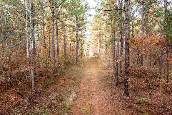 Land For Sale In Shady Dale Ga