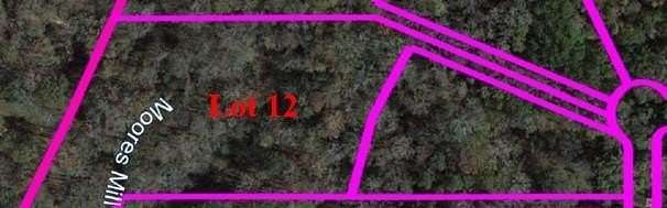 5.3 Acres of Residential Land for Sale in Auburn, Alabama