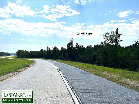 25 Acres of Land for Sale in Dry Branch, Georgia