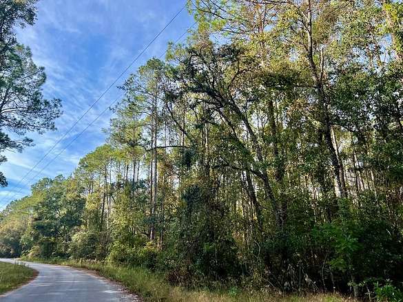 8.8 Acres of Residential Land for Sale in Old Town, Florida