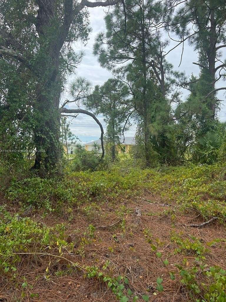 0.25 Acres of Residential Land for Sale in Lehigh Acres, Florida