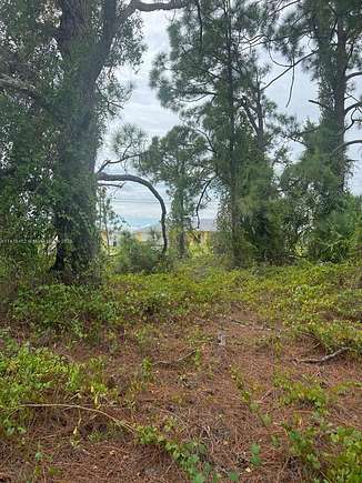 0.25 Acres of Residential Land for Sale in Lehigh Acres, Florida