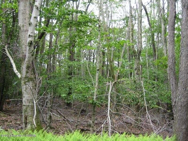 66 Acres of Land for Sale in West Wyoming, Pennsylvania