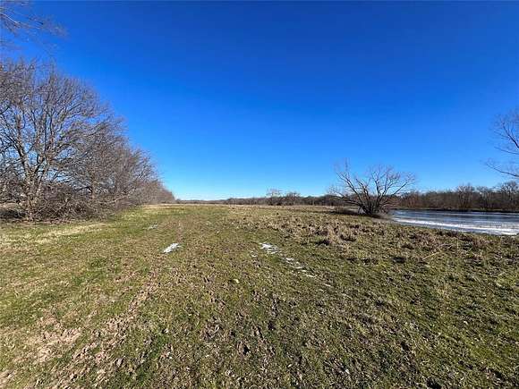 54.7 Acres of Recreational Land for Sale in Brashear, Texas