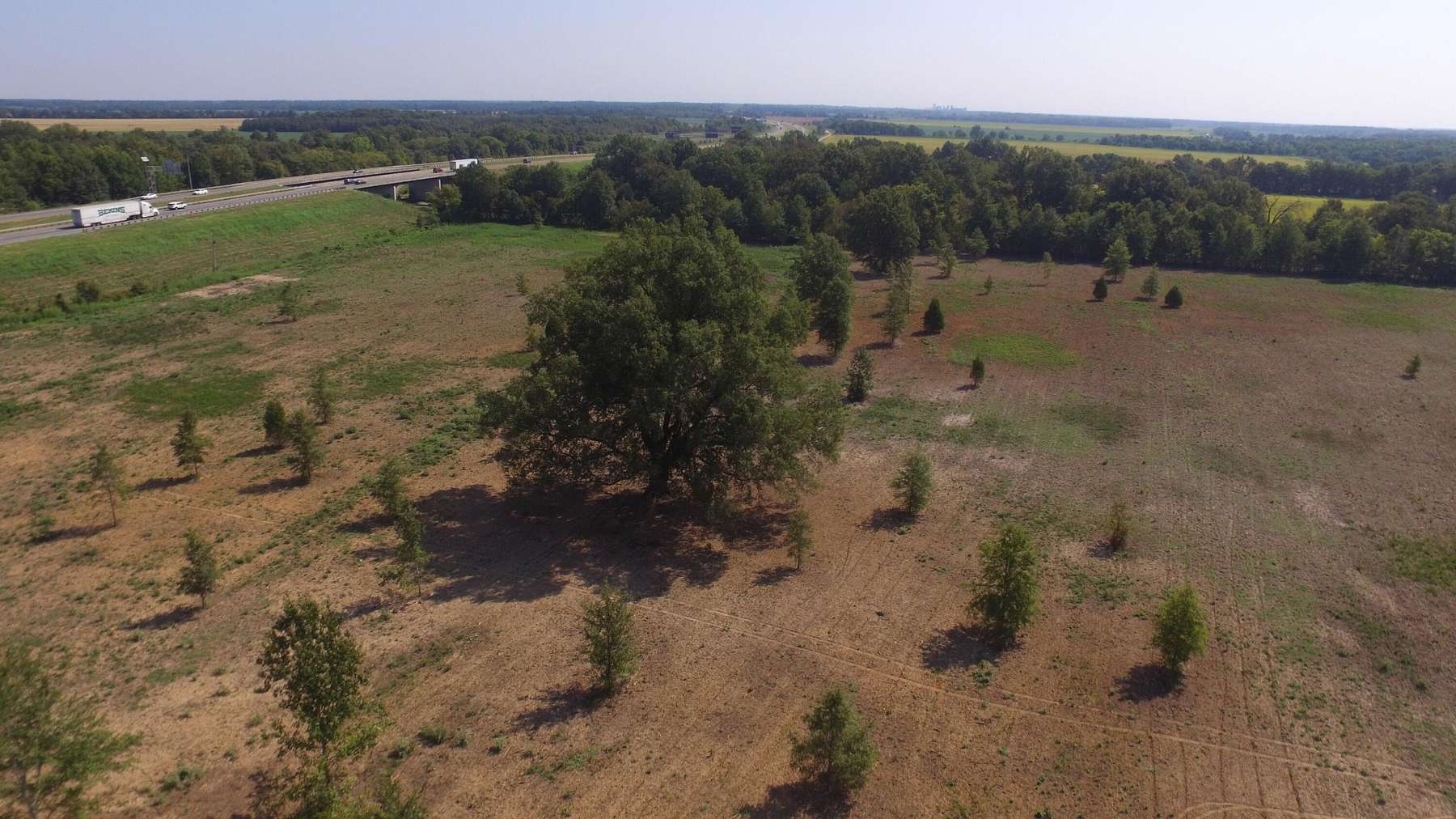 16.8 Acres of Commercial Land for Sale in Brinkley, Arkansas