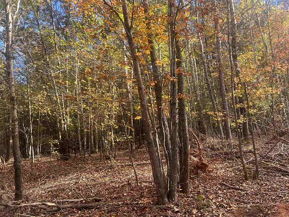 11.3 Acres of Recreational Land for Sale in Spartanburg, South Carolina