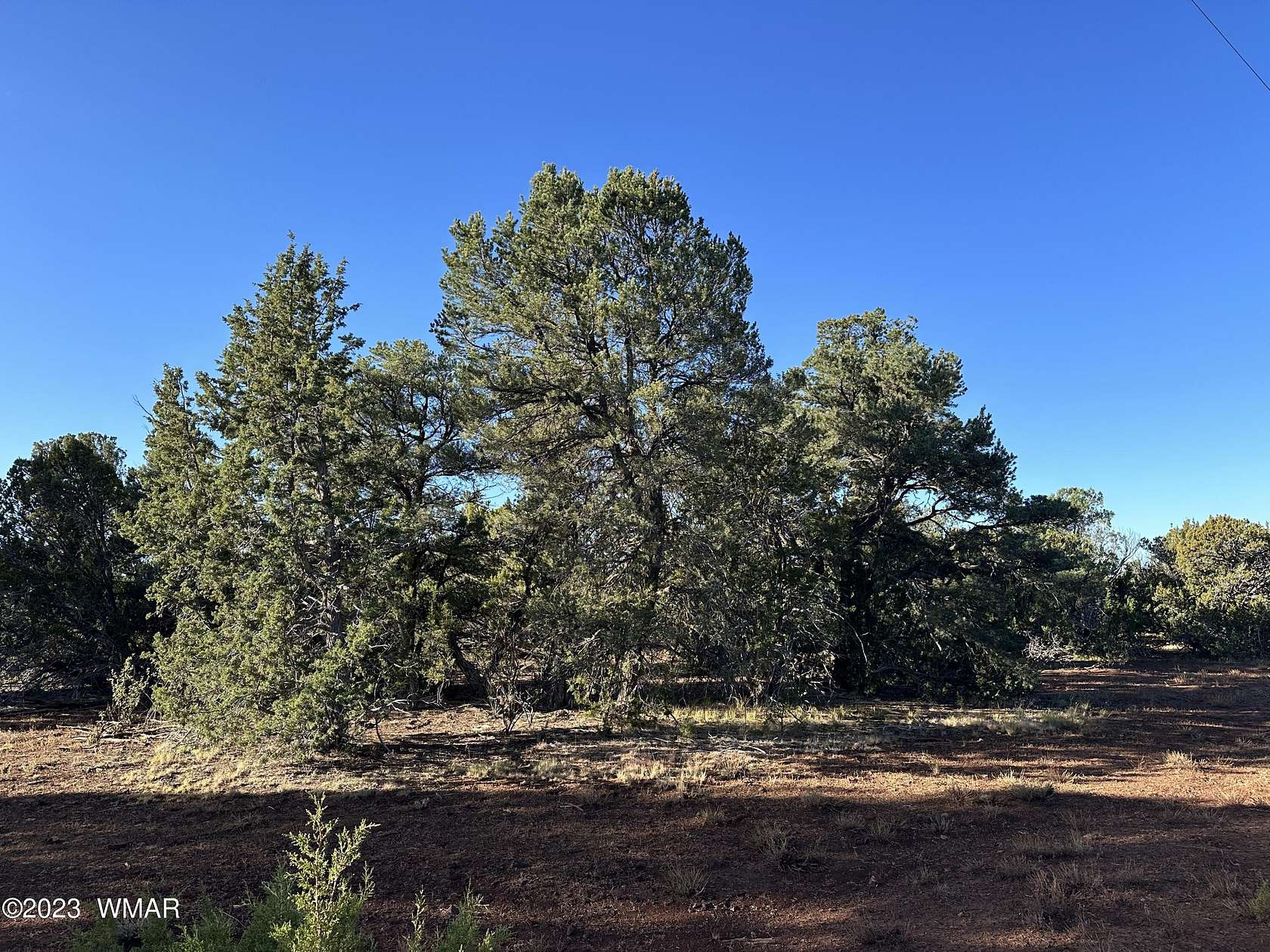 1.2 Acres of Residential Land for Sale in Vernon, Arizona