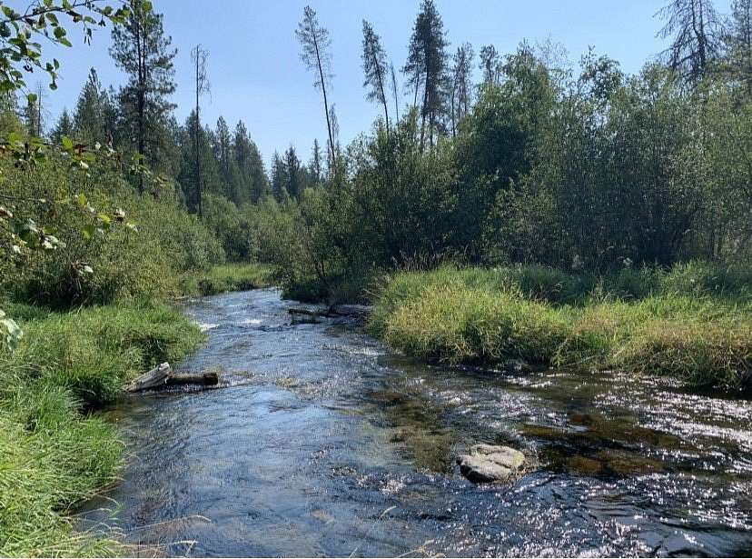 3.85 Acres of Residential Land for Sale in Elk, Washington