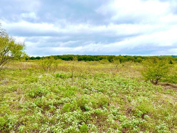 51.8 Acres of Recreational Land for Sale in Gainesville, Texas