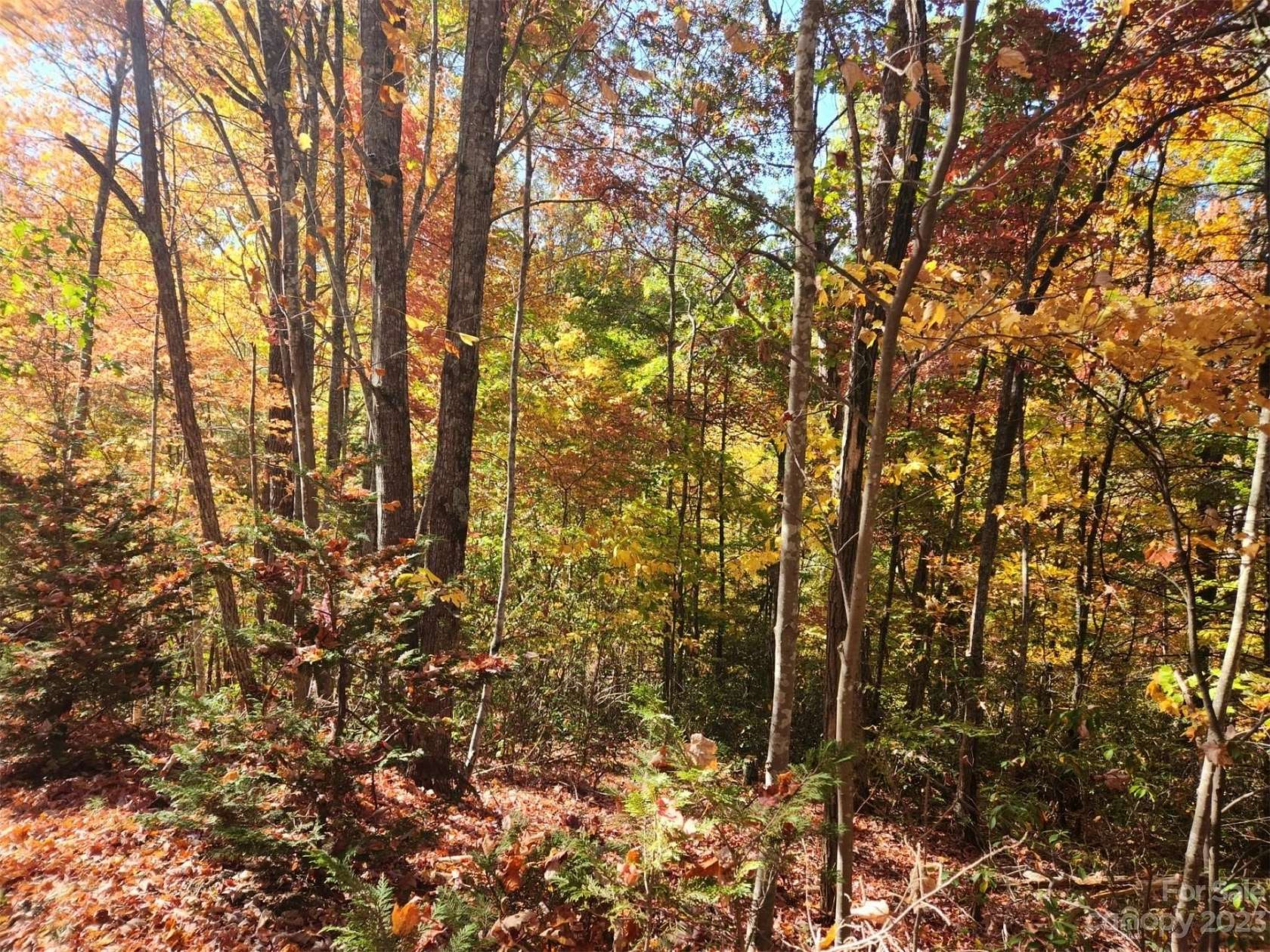 0.37 Acres of Residential Land for Sale in Lake Lure, North Carolina