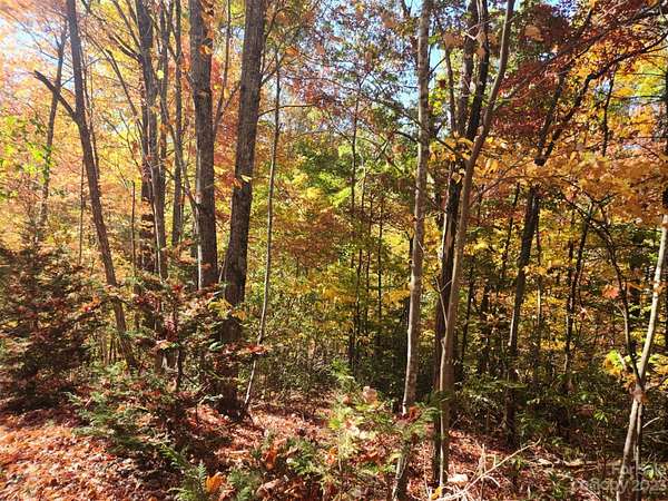 0.37 Acres of Residential Land for Sale in Lake Lure, North Carolina