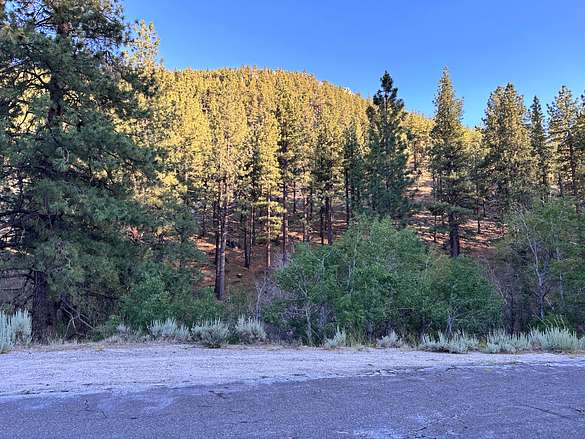 39 Acres of Recreational Land for Sale in Carson City, Nevada