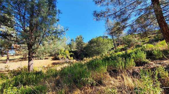 0.25 Acres of Residential Land for Sale in Kelseyville, California