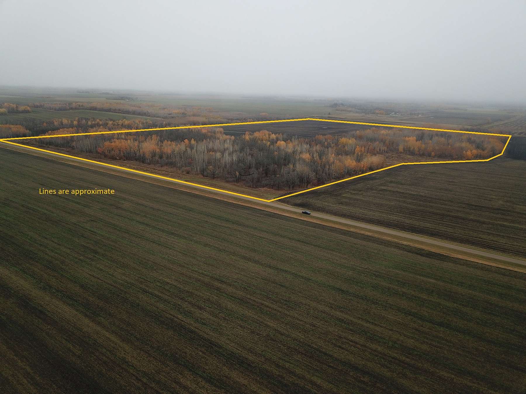 97.4 Acres of Land for Sale in Goodridge, Minnesota