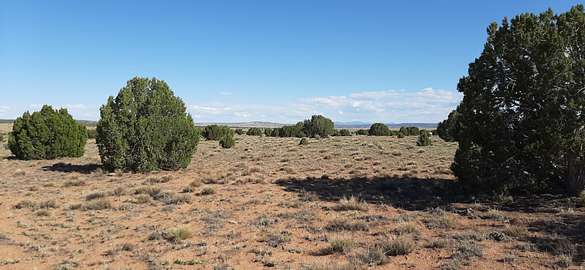 19.2 Acres of Land for Sale in Concho, Arizona