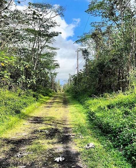 0.19 Acres of Land for Sale in Pahoa, Hawaii