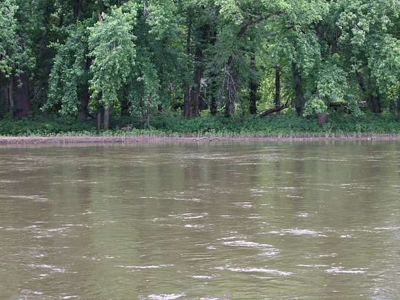 View from Across River