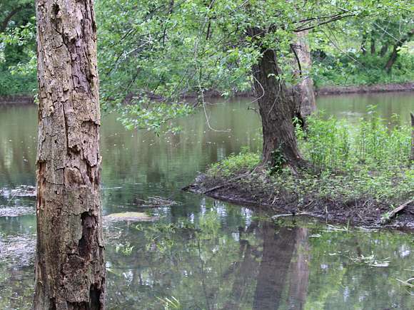 Mouth of Creek