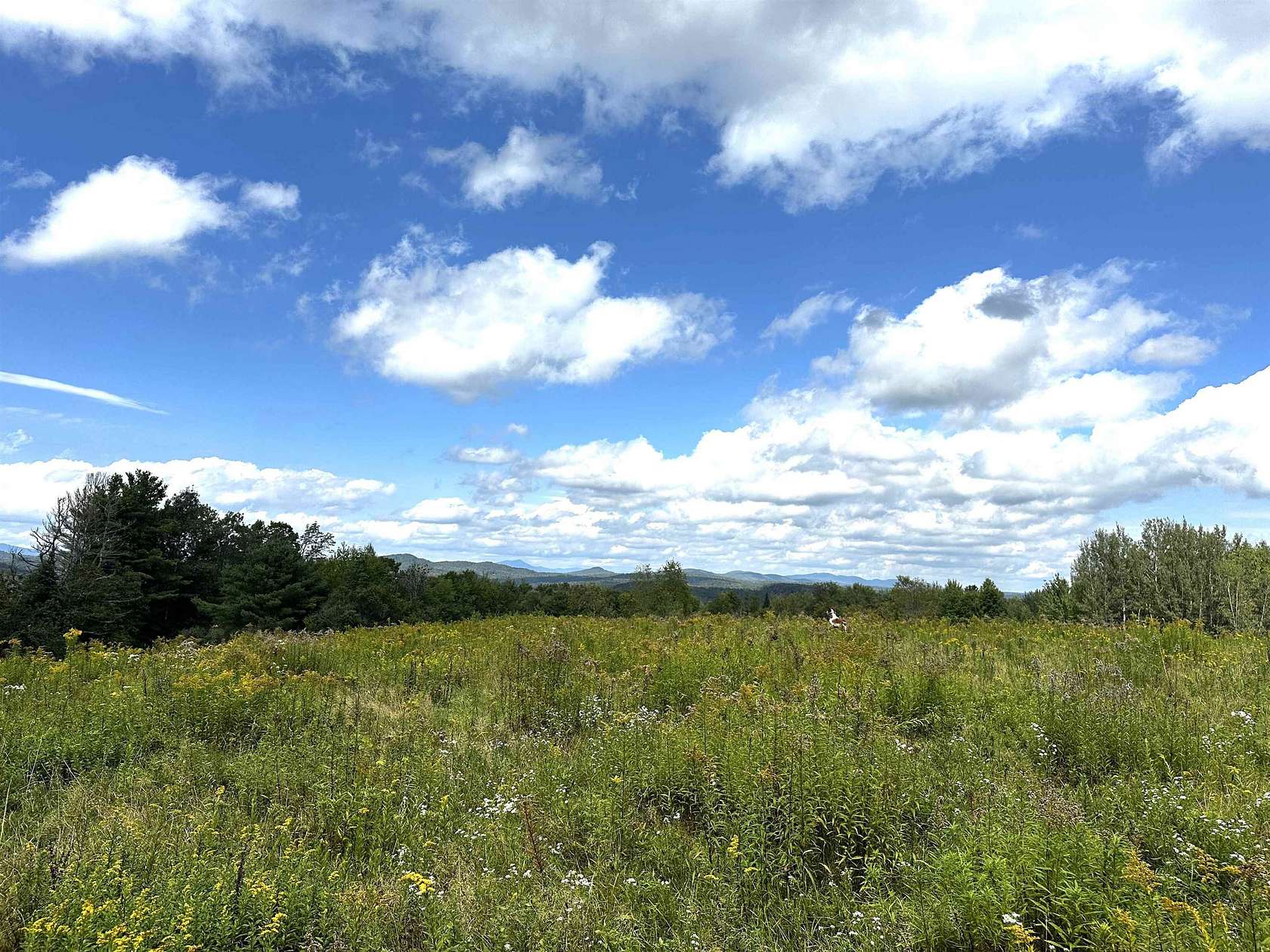 30 Acres of Land for Sale in Wolcott, Vermont