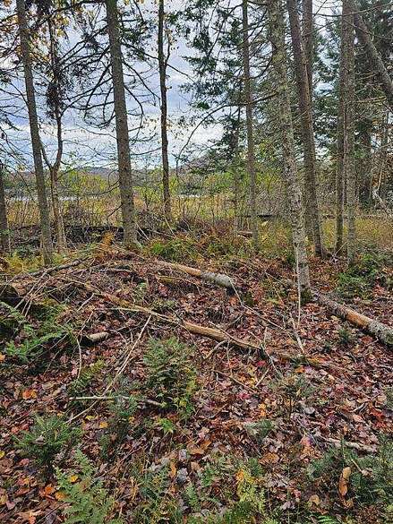 3.5 Acres of Residential Land for Sale in Newcomb, New York