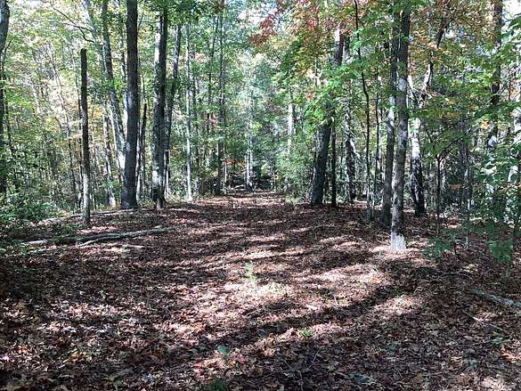 16.4 Acres of Recreational Land for Sale in Nebo, North Carolina