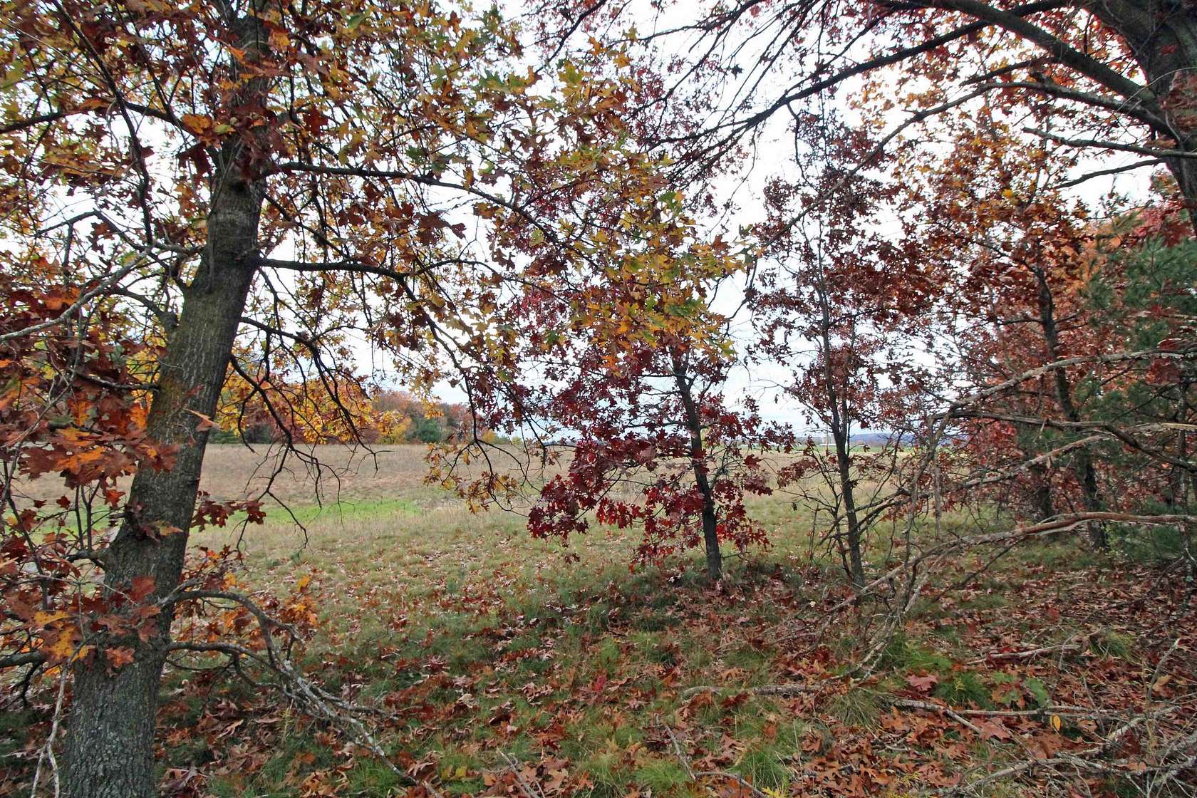 4.4 Acres of Residential Land for Sale in Spring Green, Wisconsin