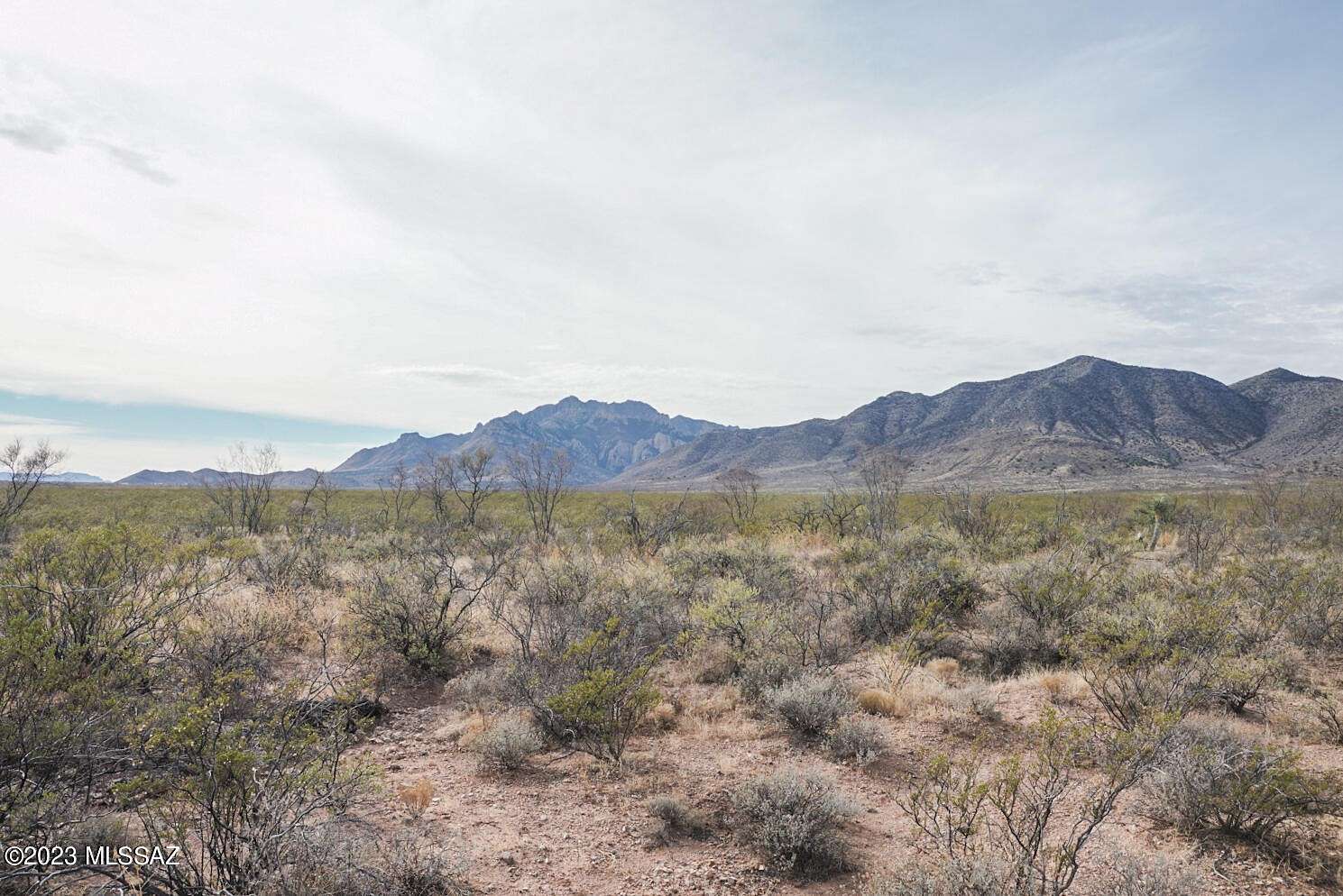 41.7 Acres of Recreational Land for Sale in Portal, Arizona