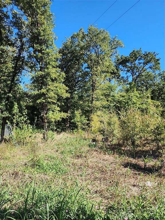 0.18 Acres of Land for Sale in Quinlan, Texas